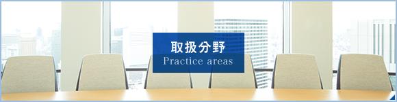 取扱分野 Practice areas